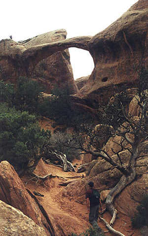 'path' arch