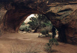 'cave' arch