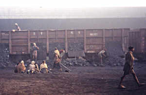 coal train